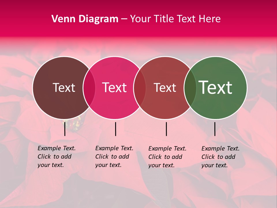 Christmas Plants Christmas Present Purple Poinsettias PowerPoint Template