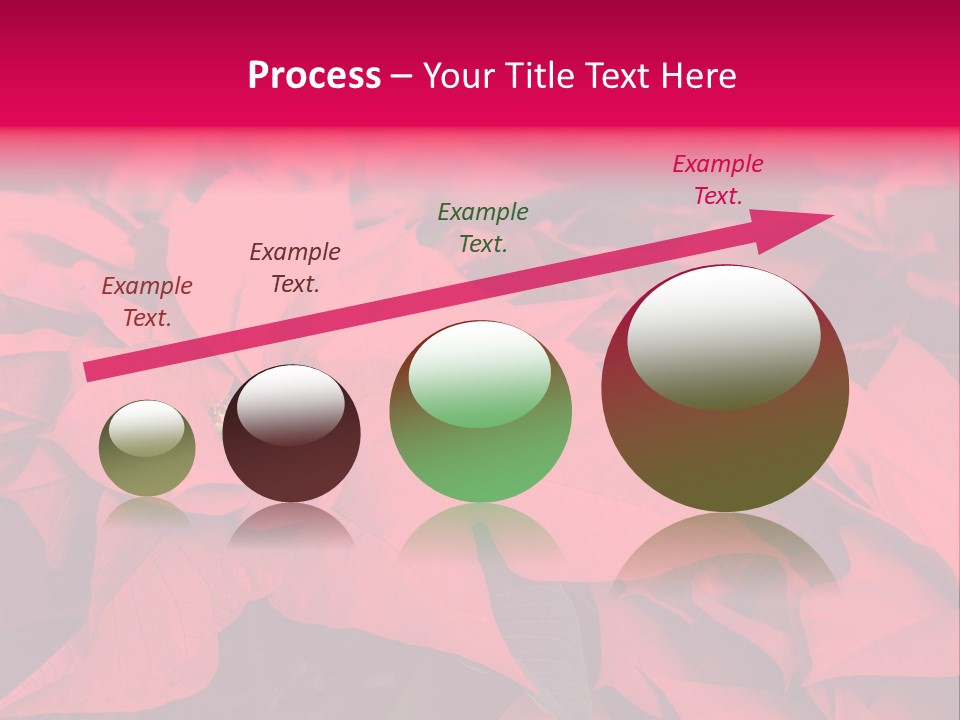 Christmas Plants Christmas Present Purple Poinsettias PowerPoint Template