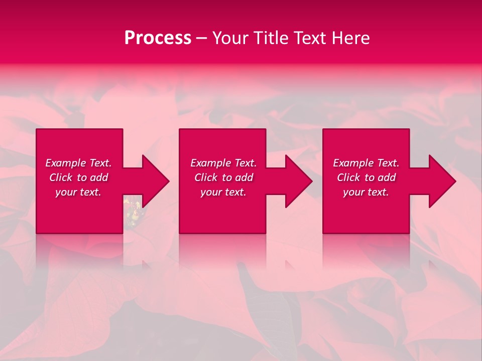 Christmas Plants Christmas Present Purple Poinsettias PowerPoint Template