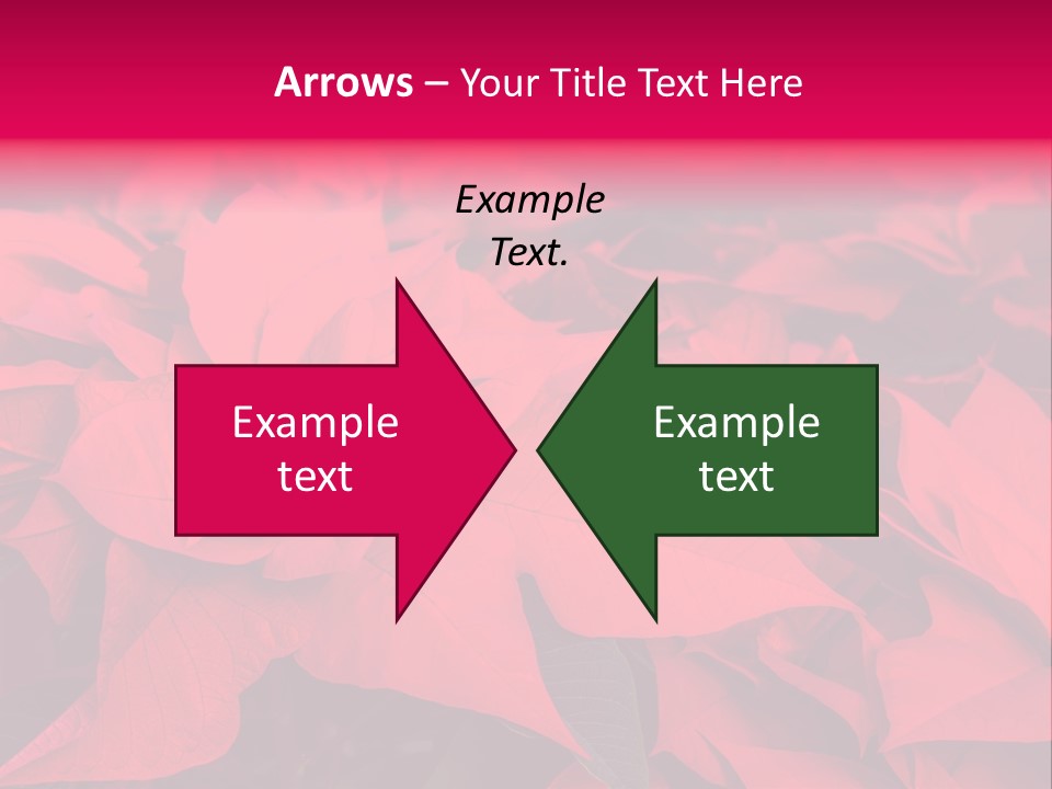 Christmas Plants Christmas Present Purple Poinsettias PowerPoint Template