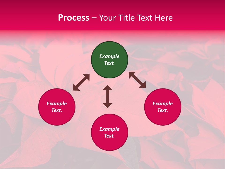 Christmas Plants Christmas Present Purple Poinsettias PowerPoint Template