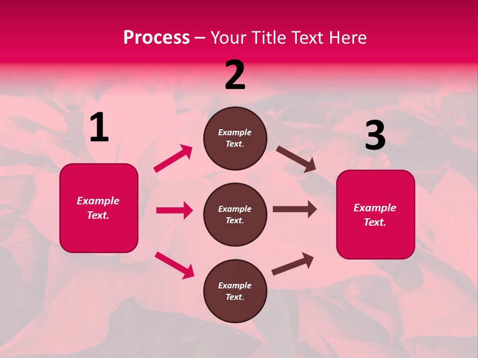 Christmas Plants Christmas Present Purple Poinsettias PowerPoint Template