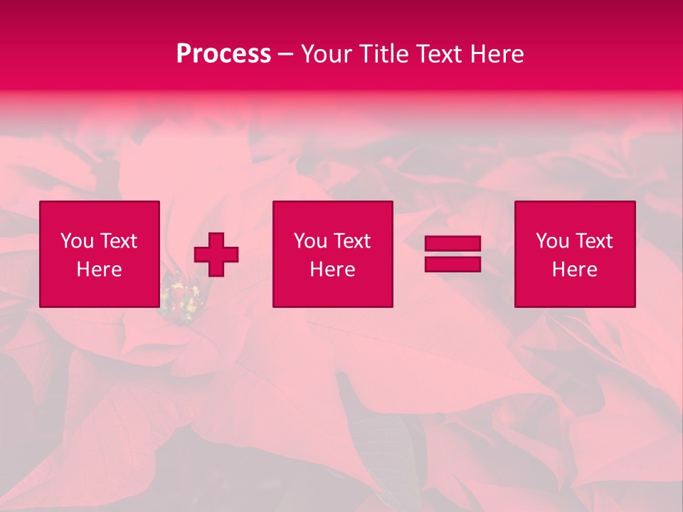 Christmas Plants Christmas Present Purple Poinsettias PowerPoint Template