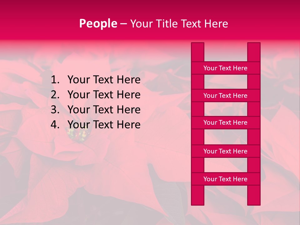 Christmas Plants Christmas Present Purple Poinsettias PowerPoint Template