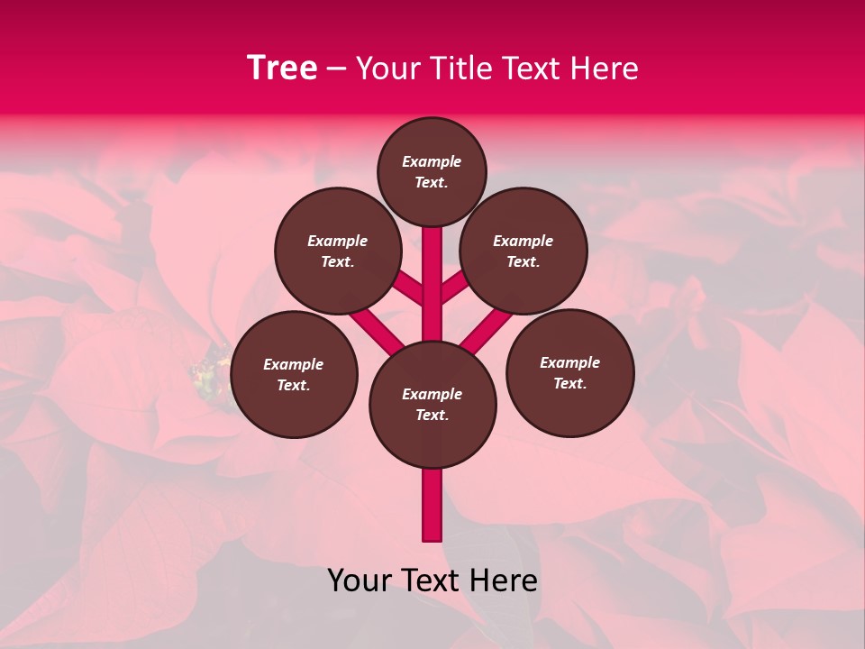 Christmas Plants Christmas Present Purple Poinsettias PowerPoint Template