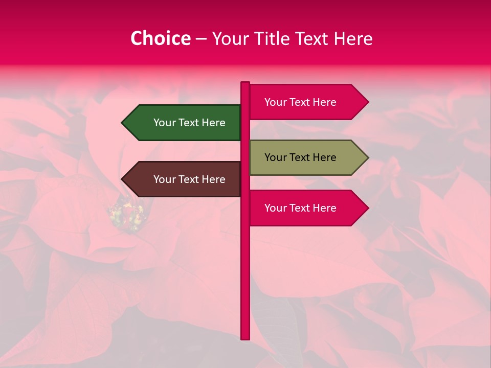 Christmas Plants Christmas Present Purple Poinsettias PowerPoint Template