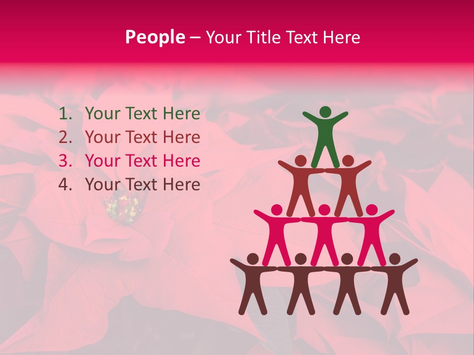 Christmas Plants Christmas Present Purple Poinsettias PowerPoint Template