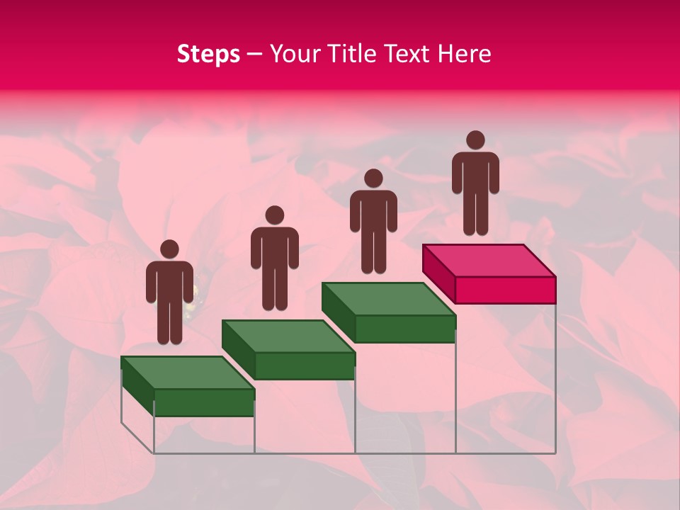 Christmas Plants Christmas Present Purple Poinsettias PowerPoint Template