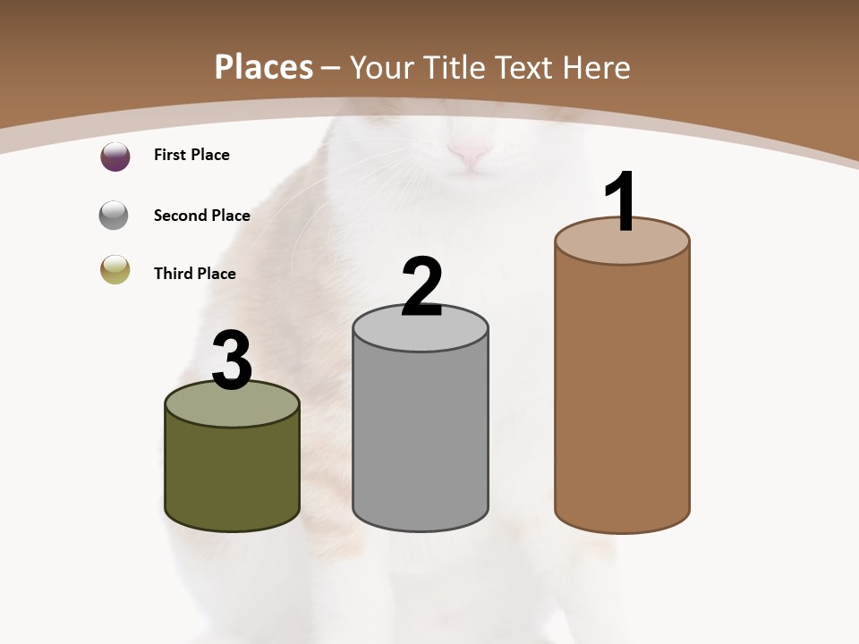 Fur Isolated Cat PowerPoint Template