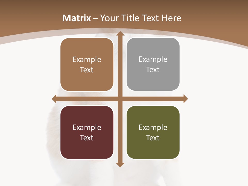 Fur Isolated Cat PowerPoint Template