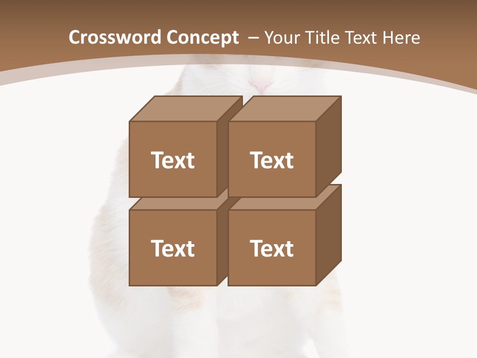 Fur Isolated Cat PowerPoint Template