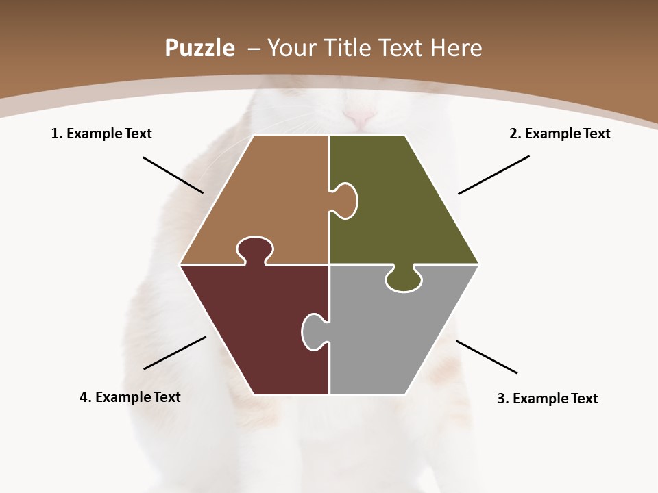 Fur Isolated Cat PowerPoint Template