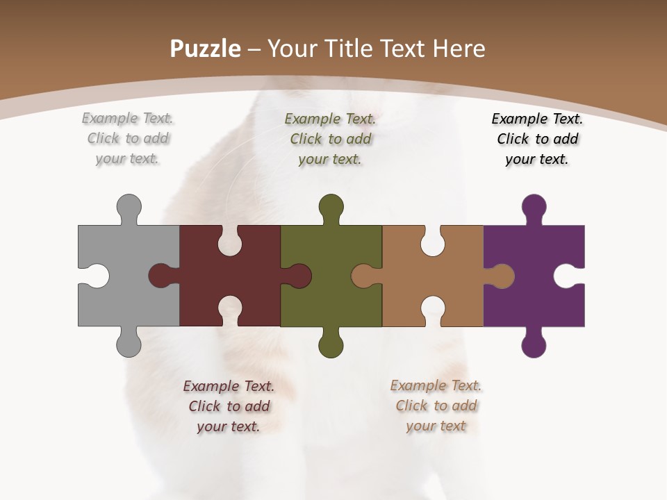 Fur Isolated Cat PowerPoint Template