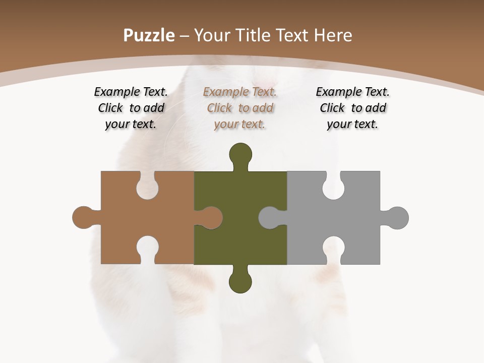 Fur Isolated Cat PowerPoint Template