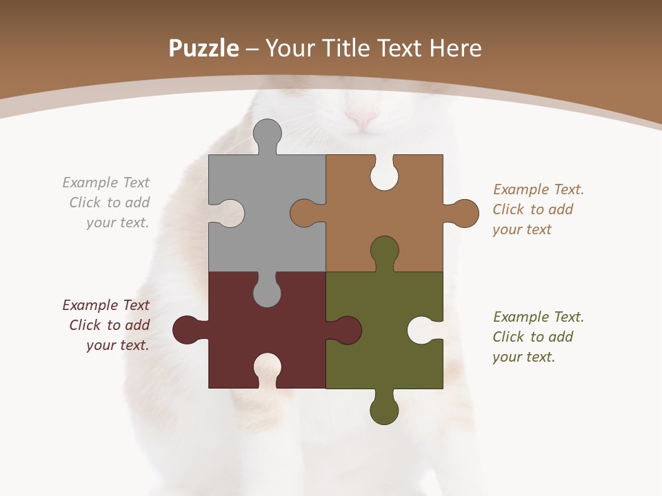 Fur Isolated Cat PowerPoint Template