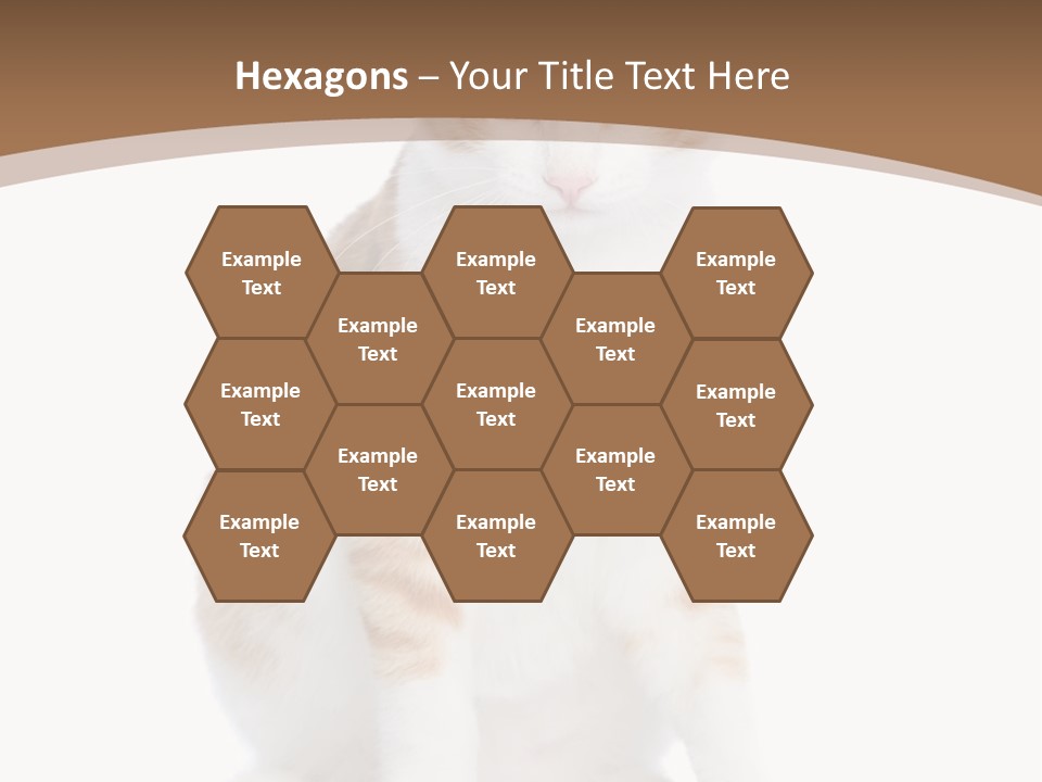 Fur Isolated Cat PowerPoint Template