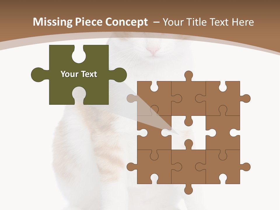 Fur Isolated Cat PowerPoint Template