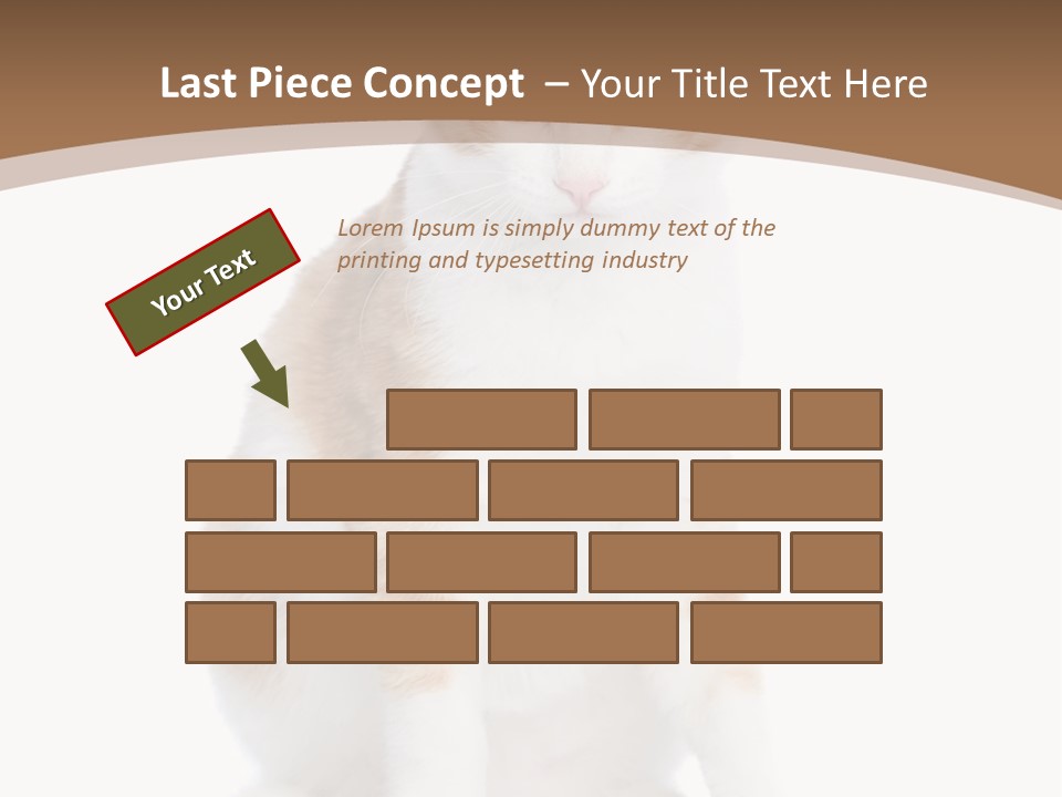 Fur Isolated Cat PowerPoint Template