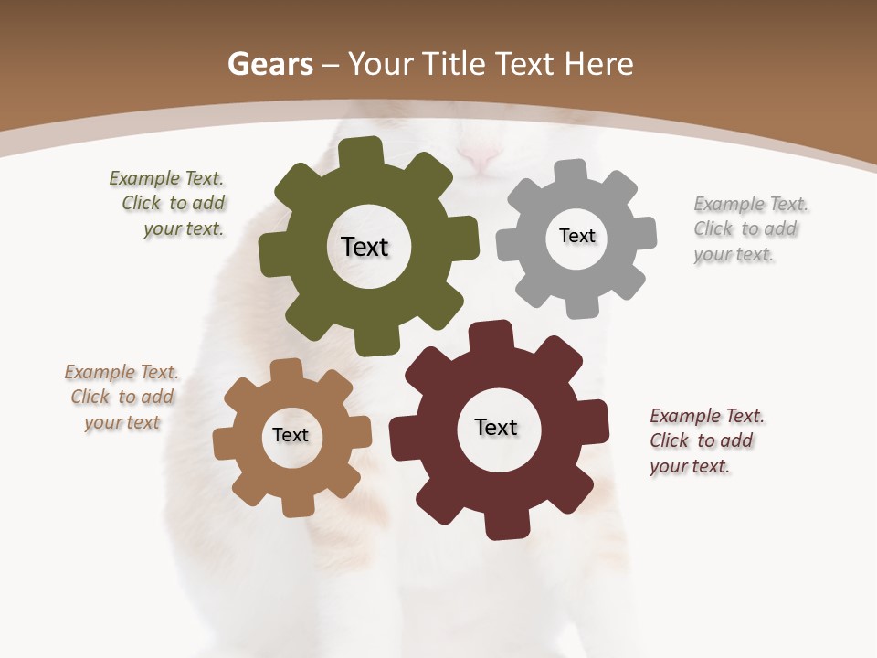 Fur Isolated Cat PowerPoint Template