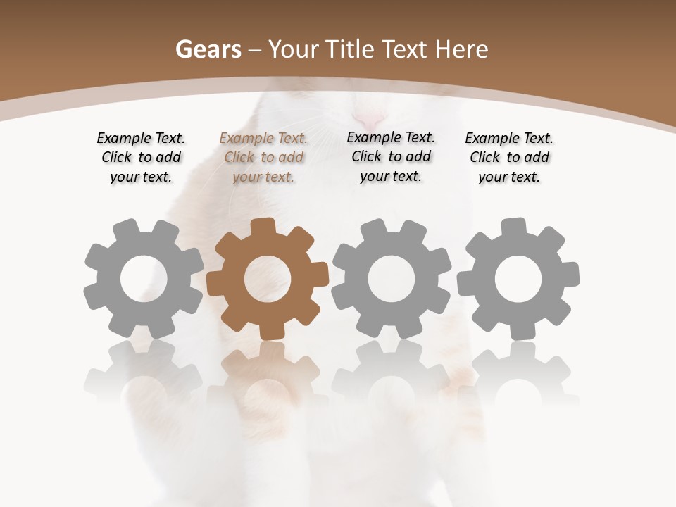 Fur Isolated Cat PowerPoint Template