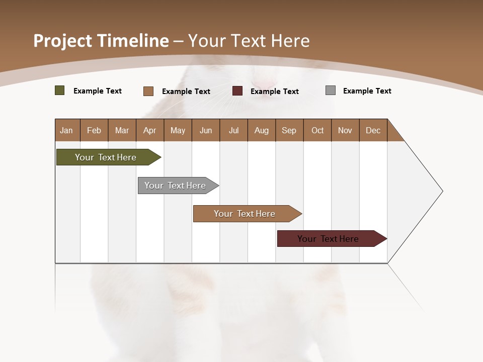 Fur Isolated Cat PowerPoint Template