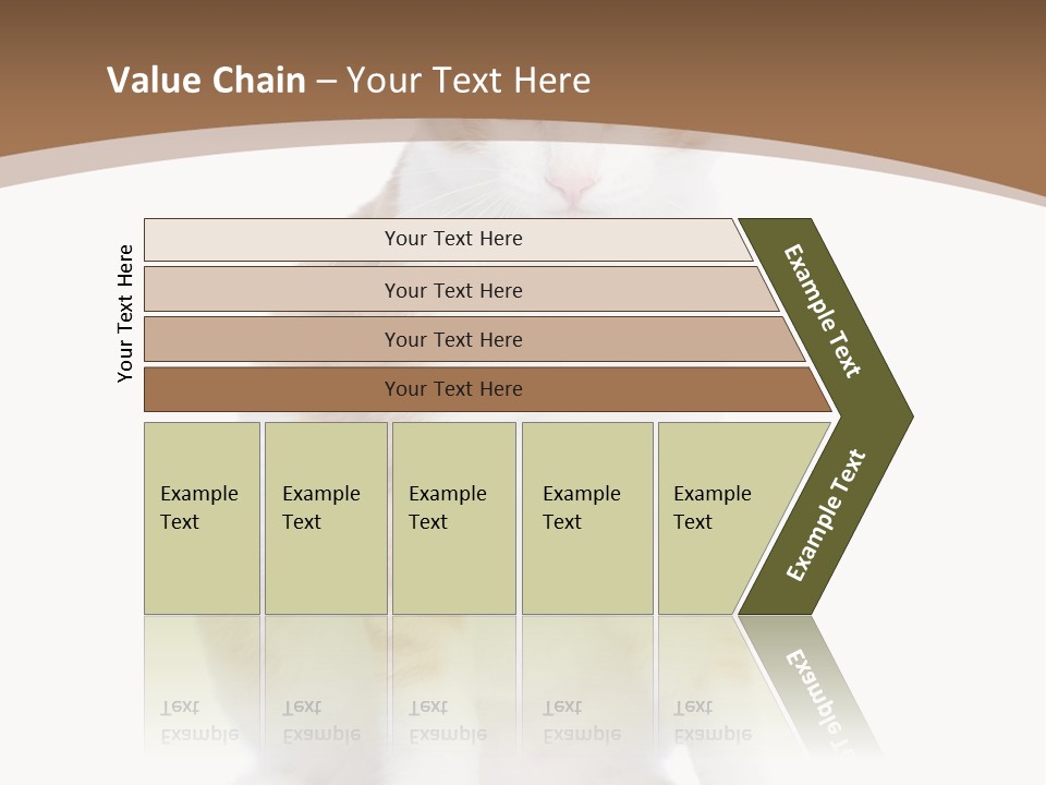 Fur Isolated Cat PowerPoint Template