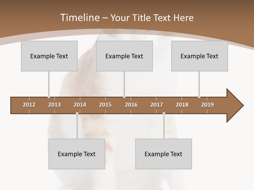 Fur Isolated Cat PowerPoint Template