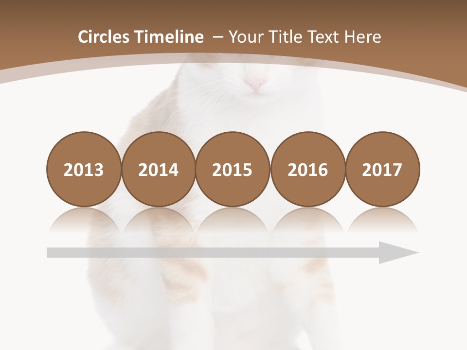 Fur Isolated Cat PowerPoint Template