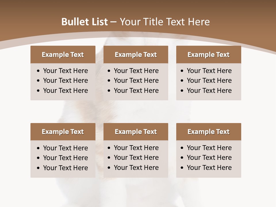 Fur Isolated Cat PowerPoint Template