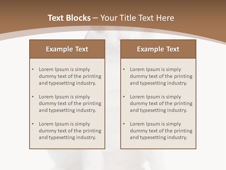 Fur Isolated Cat PowerPoint Template