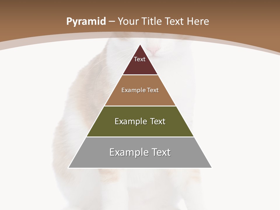 Fur Isolated Cat PowerPoint Template