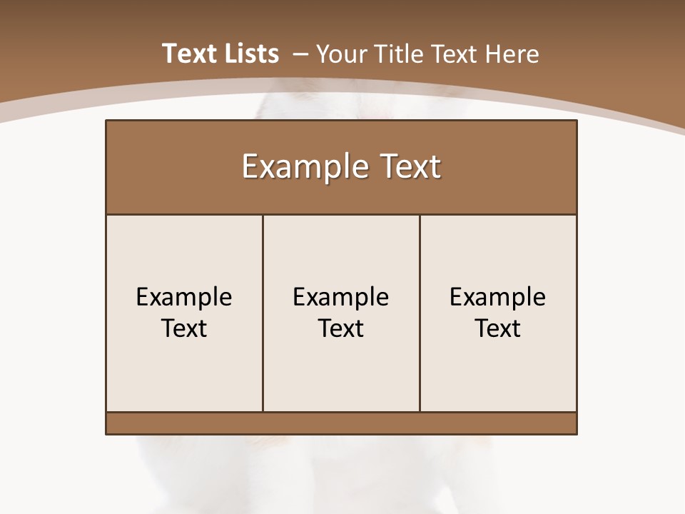 Fur Isolated Cat PowerPoint Template