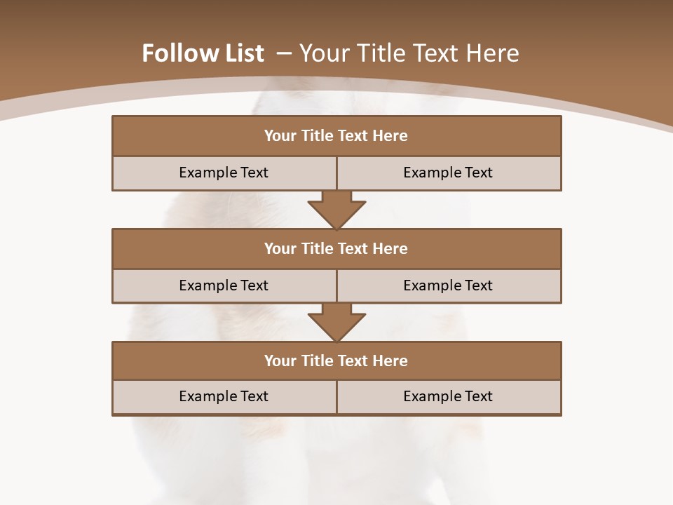 Fur Isolated Cat PowerPoint Template