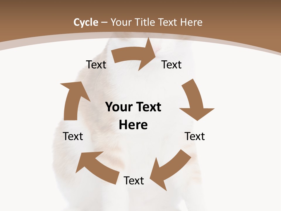 Fur Isolated Cat PowerPoint Template