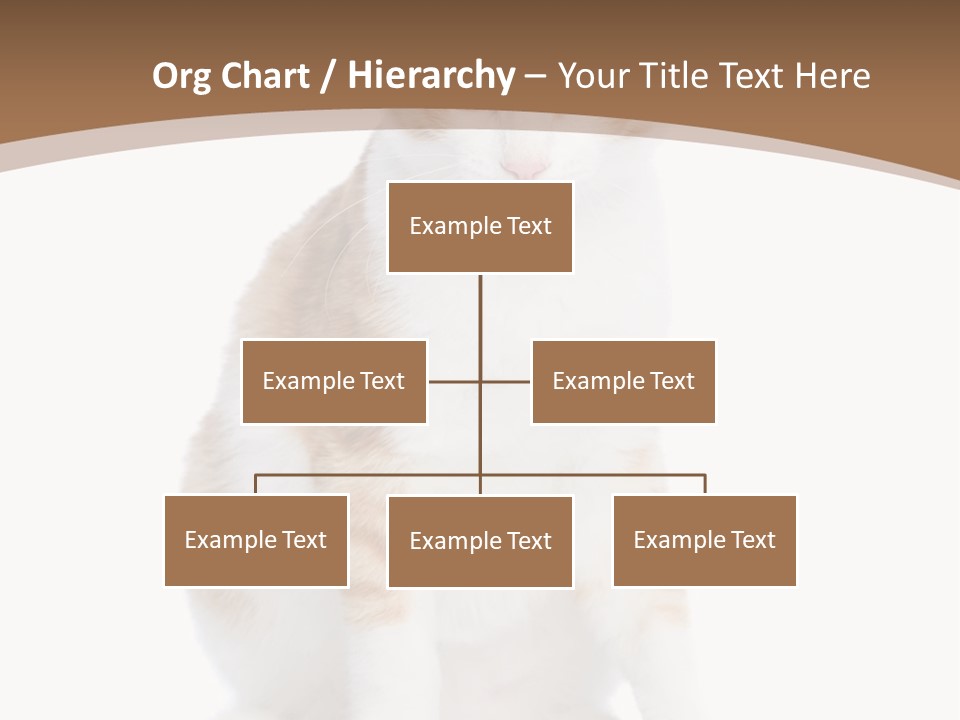 Fur Isolated Cat PowerPoint Template