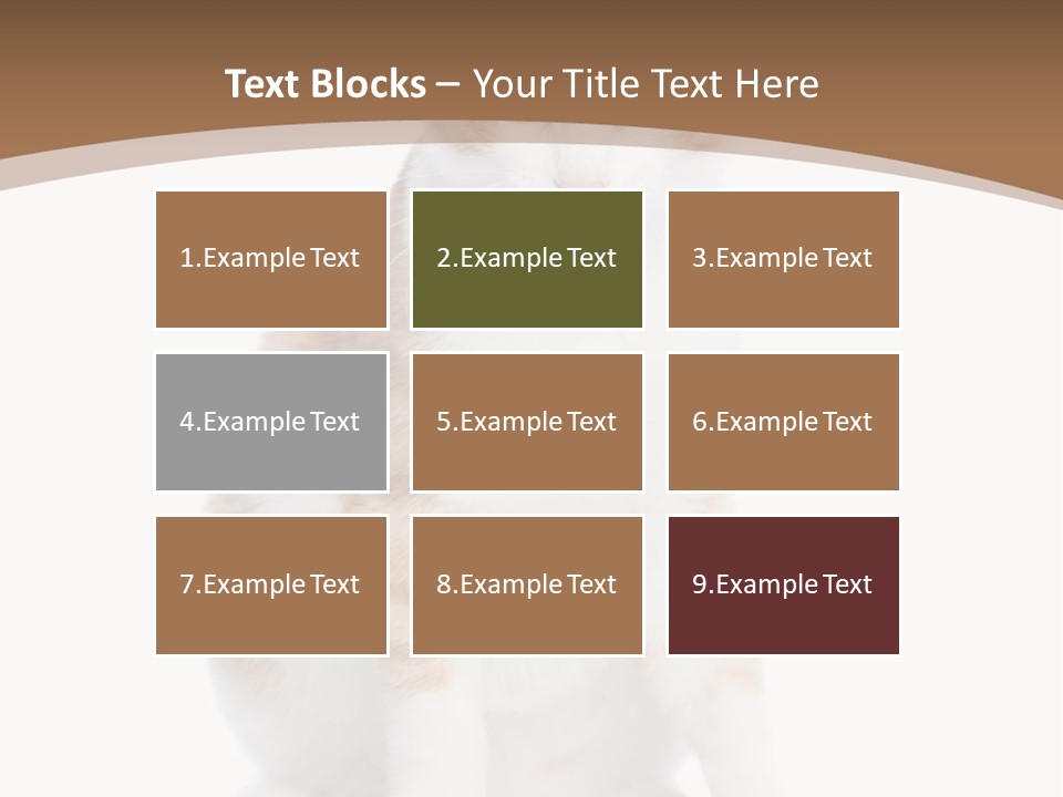 Fur Isolated Cat PowerPoint Template