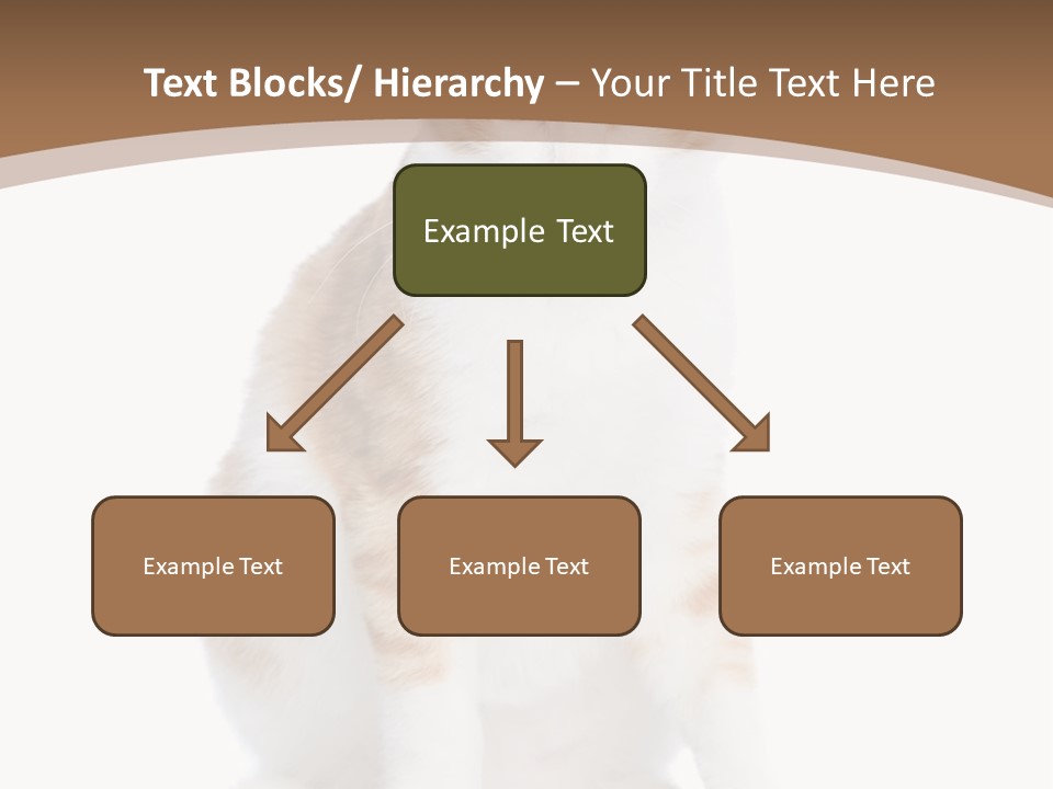 Fur Isolated Cat PowerPoint Template