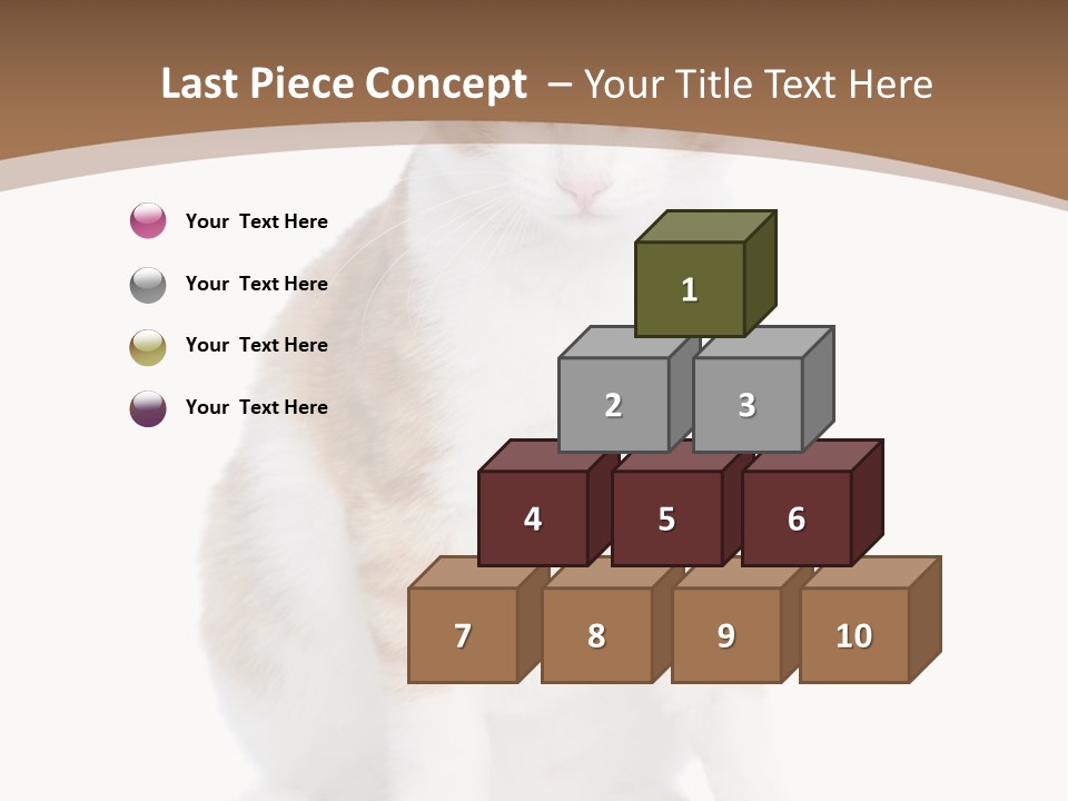 Fur Isolated Cat PowerPoint Template