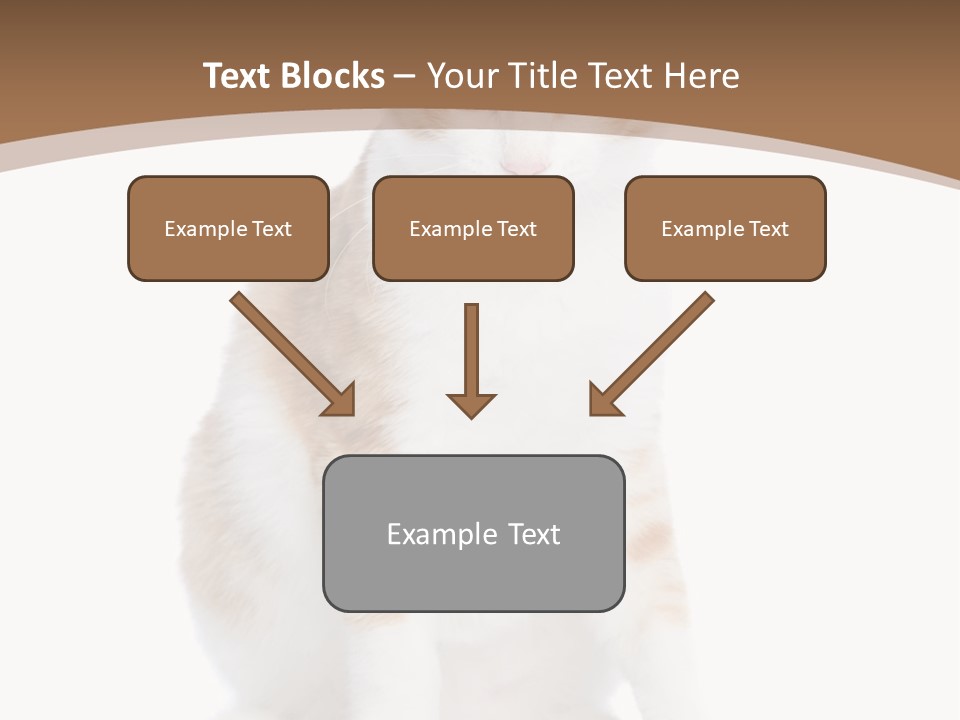 Fur Isolated Cat PowerPoint Template