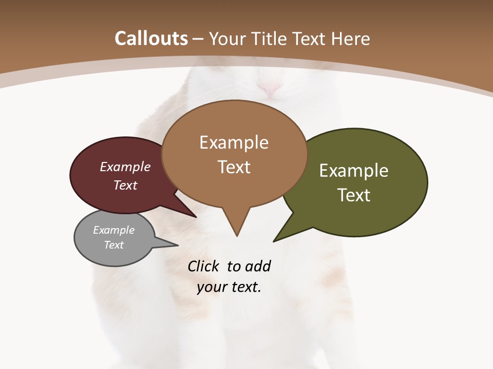 Fur Isolated Cat PowerPoint Template