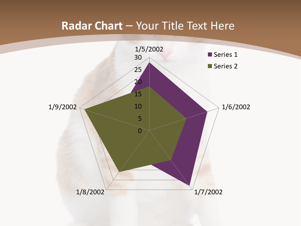 Fur Isolated Cat PowerPoint Template