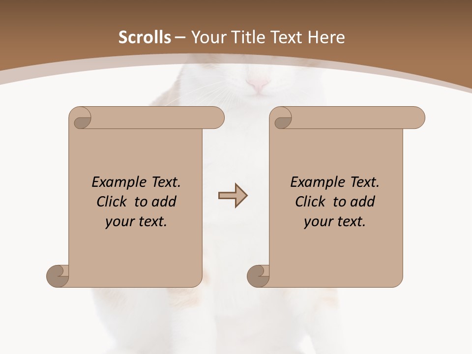 Fur Isolated Cat PowerPoint Template