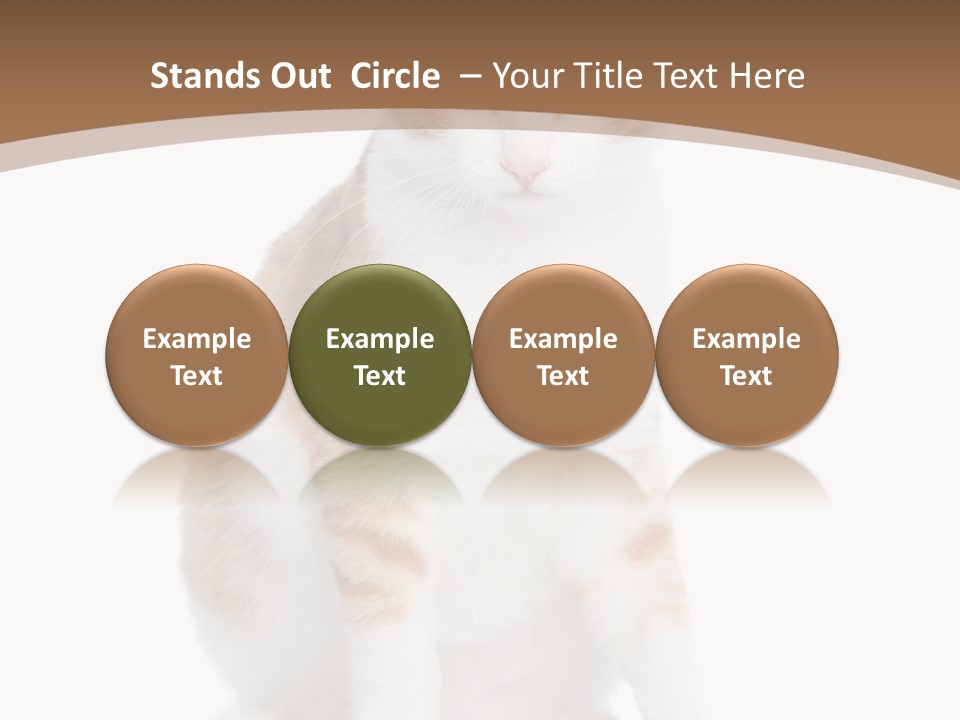 Fur Isolated Cat PowerPoint Template