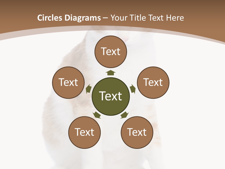 Fur Isolated Cat PowerPoint Template