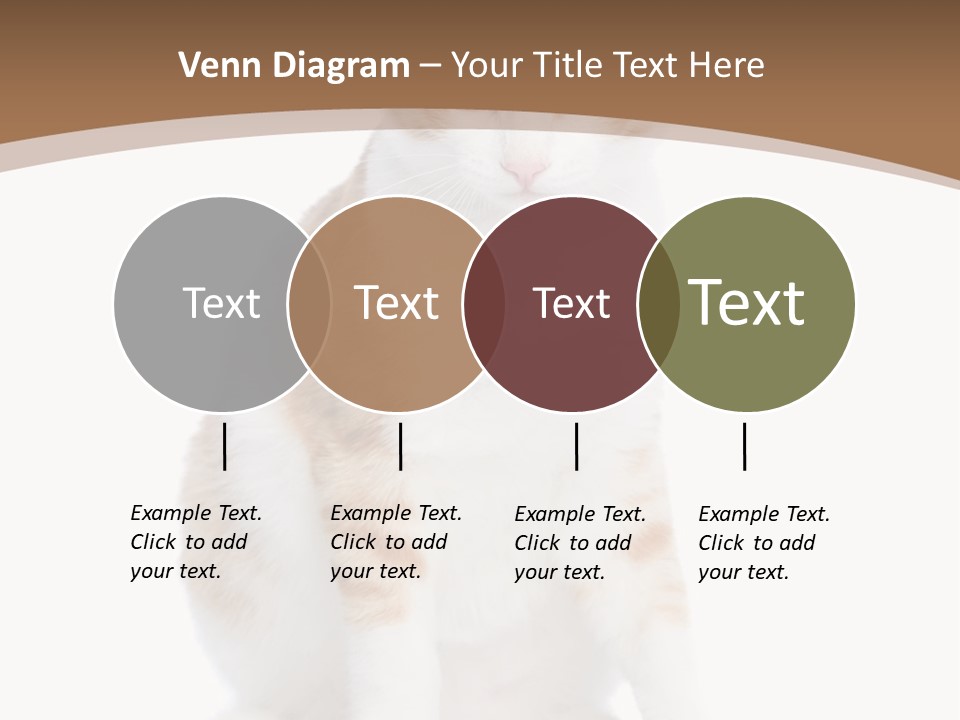 Fur Isolated Cat PowerPoint Template