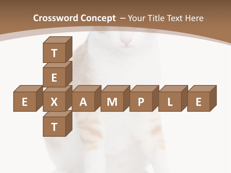 Fur Isolated Cat PowerPoint Template