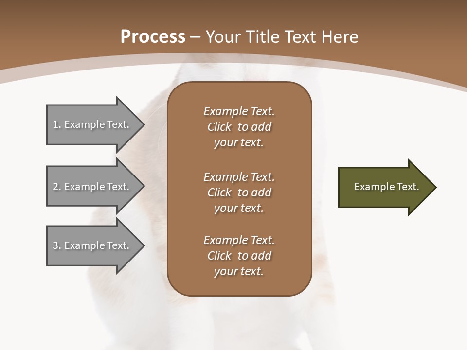 Fur Isolated Cat PowerPoint Template