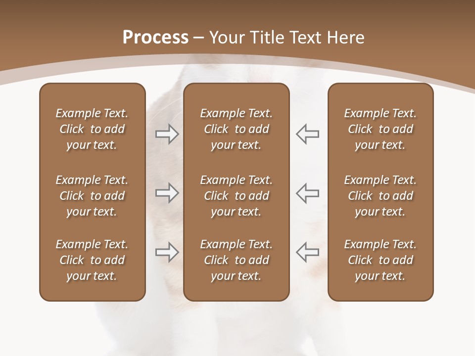 Fur Isolated Cat PowerPoint Template