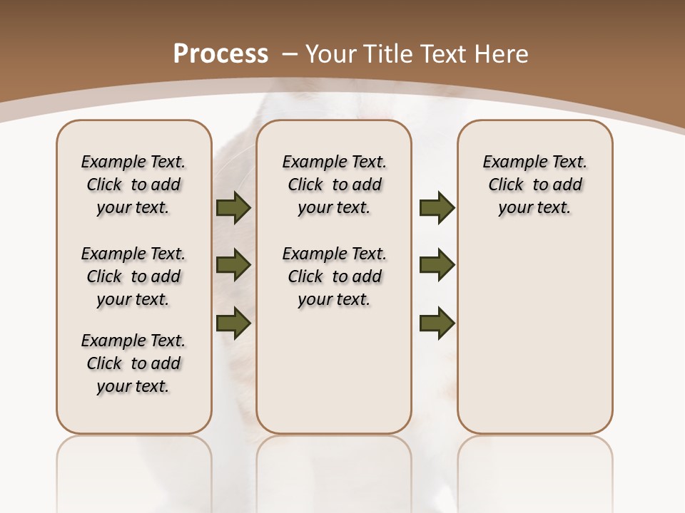 Fur Isolated Cat PowerPoint Template