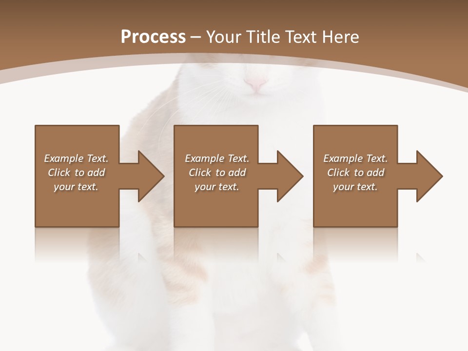 Fur Isolated Cat PowerPoint Template